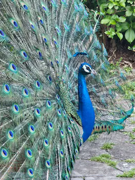 伊豆シャボテン動物公園に投稿された画像（2026/4/13）