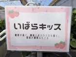 道の駅ひたちおおた店に投稿された画像（2026/4/14）