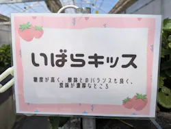 道の駅ひたちおおた店に投稿された画像（2026/4/13）