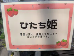 道の駅ひたちおおた店に投稿された画像（2026/4/13）