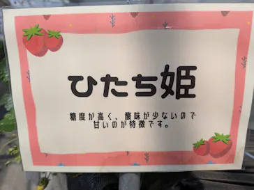 道の駅ひたちおおた店に投稿された画像（2026/4/13）
