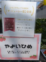 道の駅ひたちおおた店に投稿された画像（2026/4/13）