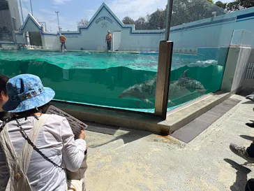 しながわ水族館に投稿された画像（2026/4/13）