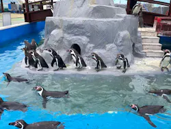 南知多ビーチランド＆南知多おもちゃ王国に投稿された画像（2026/4/13）