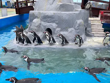 南知多ビーチランド＆南知多おもちゃ王国に投稿された画像（2026/4/13）