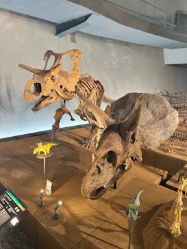 福井県立恐竜博物館に投稿された画像（2026/4/14）