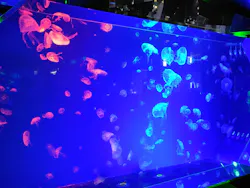 名古屋港水族館に投稿された画像（2026/4/14）