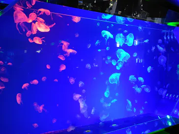 名古屋港水族館に投稿された画像（2026/4/14）