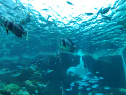 名古屋港水族館に投稿された画像（2026/4/14）