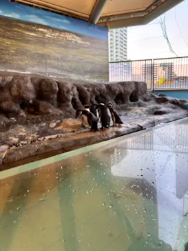 しながわ水族館に投稿された画像（2026/4/14）
