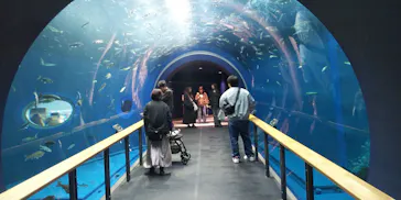 滋賀県立琵琶湖博物館に投稿された画像（2026/4/14）