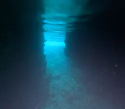 MalDive（モルダイブ）に投稿された画像（2026/4/14）