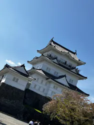 小田原城に投稿された画像（2026/4/14）