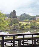 新宿御苑に投稿された画像（2026/4/14）