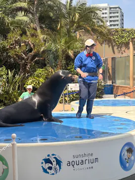 サンシャイン水族館に投稿された画像（2026/4/14）
