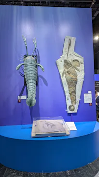 大絶滅展ー生命史のビッグファイブ（名古屋会場）に投稿された画像（2026/4/14）
