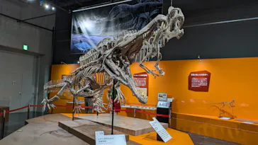 大絶滅展ー生命史のビッグファイブ（名古屋会場）に投稿された画像（2026/4/14）