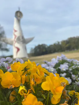 万博記念公園に投稿された画像（2026/4/14）