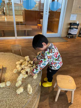 Moff animal cafe 小田原ダイナシティ店に投稿された画像（2026/4/15）