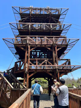 万博記念公園に投稿された画像（2026/4/15）