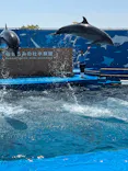 仙台うみの杜水族館に投稿された画像（2026/4/15）