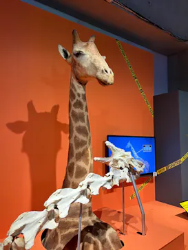 特別展「超危険生物展　科学で挑む生き物の本気」に投稿された画像（2026/4/15）