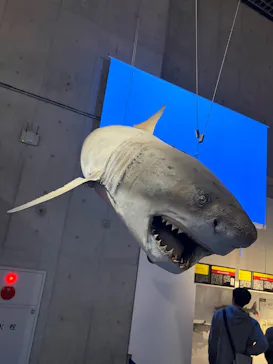特別展「超危険生物展　科学で挑む生き物の本気」に投稿された画像（2026/4/15）