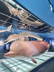 名古屋港水族館に投稿された画像（2026/4/15）