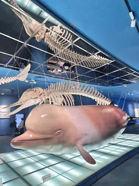 名古屋港水族館に投稿された画像（2026/4/15）