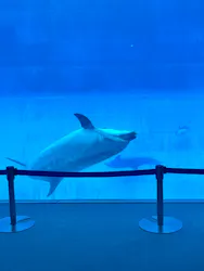 名古屋港水族館に投稿された画像（2026/4/15）