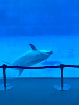 名古屋港水族館に投稿された画像（2026/4/15）