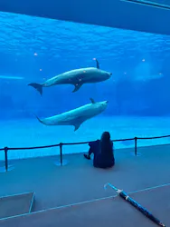 名古屋港水族館に投稿された画像（2026/4/15）