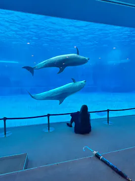 名古屋港水族館に投稿された画像（2026/4/15）