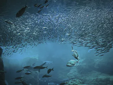 新江ノ島水族館に投稿された画像（2026/4/15）