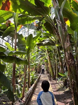 熱川バナナワニ園に投稿された画像（2026/4/15）