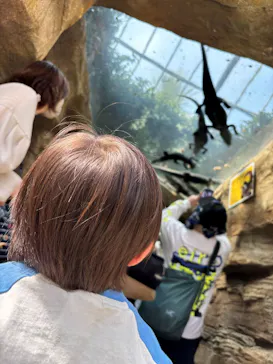 熱川バナナワニ園に投稿された画像（2026/4/15）