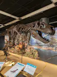 T-REX展～ティラノサウルスの進化～（新潟県立自然科学館）に投稿された画像（2026/4/15）