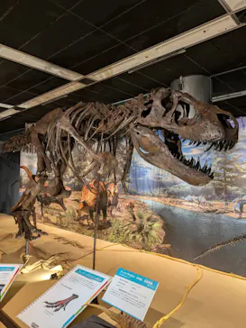 T-REX展～ティラノサウルスの進化～（新潟県立自然科学館）に投稿された画像（2026/4/15）