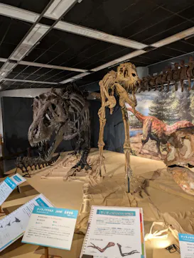 T-REX展～ティラノサウルスの進化～（新潟県立自然科学館）に投稿された画像（2026/4/15）