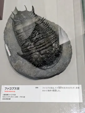 大絶滅展ー生命史のビッグファイブ（名古屋会場）に投稿された画像（2026/4/15）