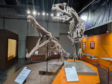 大絶滅展ー生命史のビッグファイブ（名古屋会場）に投稿された画像（2026/4/15）