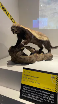 特別展「超危険生物展　科学で挑む生き物の本気」に投稿された画像（2026/4/15）