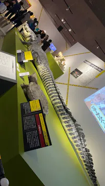特別展「超危険生物展　科学で挑む生き物の本気」に投稿された画像（2026/4/15）