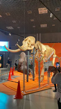 特別展「超危険生物展　科学で挑む生き物の本気」に投稿された画像（2026/4/15）