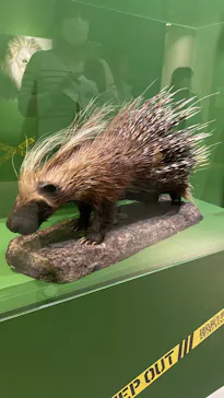 特別展「超危険生物展　科学で挑む生き物の本気」に投稿された画像（2026/4/15）