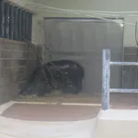 恩賜上野動物園に投稿された画像（2026/4/15）
