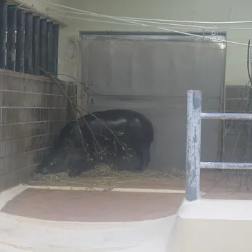 恩賜上野動物園に投稿された画像（2026/4/15）