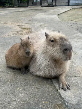 長崎バイオパークに投稿された画像（2026/4/15）