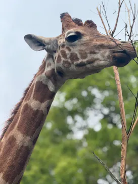 長崎バイオパークに投稿された画像（2026/4/15）