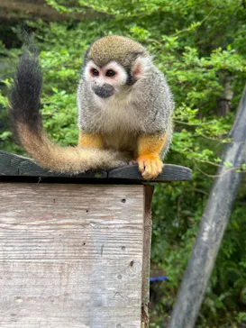 長崎バイオパークに投稿された画像（2026/4/15）